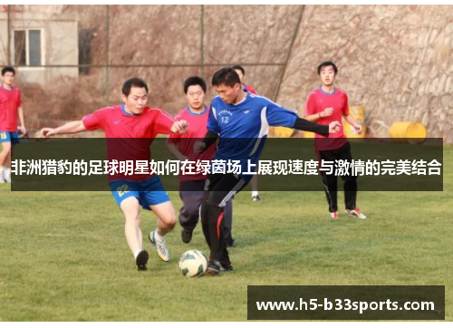 非洲猎豹的足球明星如何在绿茵场上展现速度与激情的完美结合